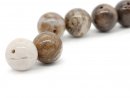 Two Wooden Opal Spheres in Shades of Brown