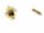 Fermoir de type boule - 585 or jaune, 12x13mm, avec des diamants /2838