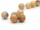Five patterned jasper beads