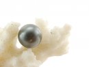 Tahiti pearl - round 10 mm, dark gey, pre drilled /T17
