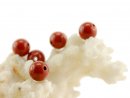 Jasper - spheres 6 mm red, pre drilled - 5 pcs/pack