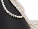 Pierced, round cultured pearls in white