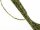 Faceted, pierced, green olivine beads