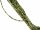 Faceted, pierced, green olivine beads