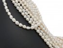 Pierced, baroque, small cultured pearls in white