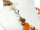 Necklace – calcite, carnelian, citrine and pearls, length 48 cm /9780