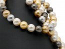 Cordon - Perles de coquillage, 16mm, multicolore, 41cm /1146