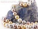 Cordon - Perles de coquillage, 16mm, multicolore /1156