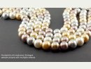 1156/ Shell pearls strand - 16 mm, multicolor - 40 cm