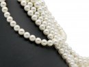 Cordon - Perles de coquillage, blanc, 10mm, 41cm /1176