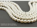 Cordon - Perles de coquillage, blanc, 12mm, 41cm /1177