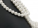 Cordon - Perles de coquillage, blanc, 14mm, 40,5cm /1178