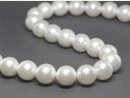 Cordon - Perles de coquillage, blanc, 16mm, 41cm /1181