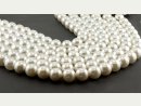 1181/ Shell pearls strand - white, 16 mm - 42 cm