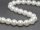 1181/ Shell pearls strand - white, 16 mm - 42 cm