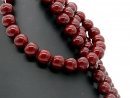 Cordon - Perles de coquillage, rouge, 14mm, 42cm /1192