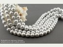 Cordon - Perles de coquillage, gris clair, 12mm, 41cm /1198