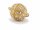 3668/ Magnetic clasp - 14mm - golden, circonia gemmed