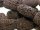 Cordon - Lave, brun et rectangulaire, 22x28mm, 40cm /5149