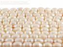 Cultured Pearls stran - baroque, 9x12 mm, pale pink /7457