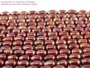 Cordon de perle de culture - barocque 8x12 mm rouge, longueur 38 cm /7627