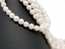 Cordon de perle de culture - presque ronde 12x14 mm...