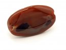 Agate - disque ovale, 21x36 mm, brun rouge /5305s