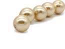 Une perle de coquillage en or