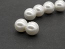 deux perles de coquillage blanches