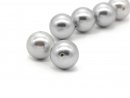 Deux perles de coquillage gris clair