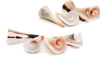 Four conical mother-of-pearl spirals