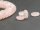 4x Rose quartz - discs, 4x12 mm /1363s