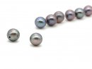 Two half drilled, grey cultured pearls