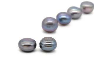 Two half drilled cultured pearls