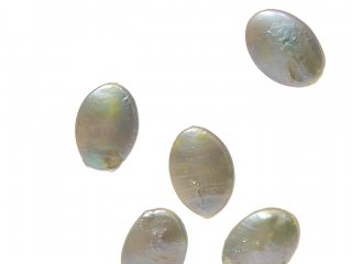 Biwaperle - ovale Scheibe, grün 10x14 mm - 2 Stk/Tüte