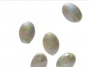 Biwa pearl - oval disc, green, 10x14 mm - 2 pcs/pack