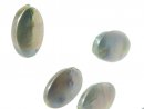 Biwa pearl - oval disc, green, 10x14 mm - 2 pcs/pack