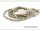 Labradorit Strang - facettiert, 10 mm, grau /1697